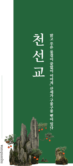 천선교